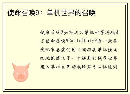 使命召唤9：单机世界的召唤